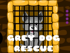 Joc Grey Dog Rescue