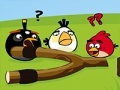 Joc Angry Birds Go Crazy