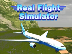 Joc Real Flight Simulator 