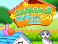 Joc Labrador Puppy Daycare Salon