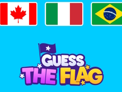 Joc Guess The Flags