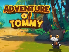 Joc Advanture Of Tommy