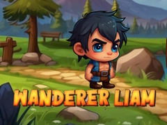 Joc Wanderer Liam