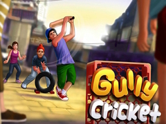 Joc Gully Cricket