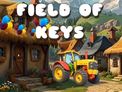 Joc Field of Keys