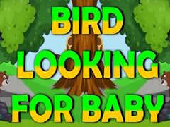 Joc Bird Looking For Baby