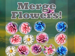 Joc Merge Flowers!