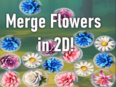 Joc Merge Flowers in 2D!