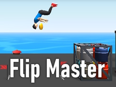 Joc Flip Master