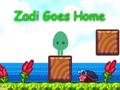 Joc Zadi Goes Home