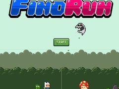 Joc Fino Run