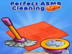 Joc Perfect Asmr Cleaning