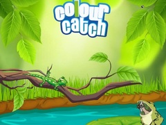 Joc Colour Catch