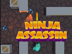 Joc Ninja Assassin