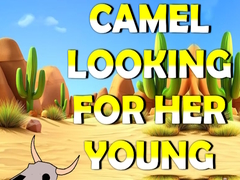 Joc Camel Looking For Her Young