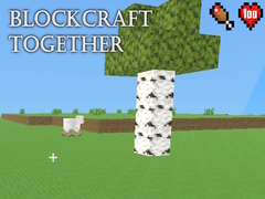 Joc BlockCraft Together