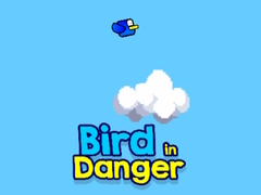 Joc Bird in Danger
