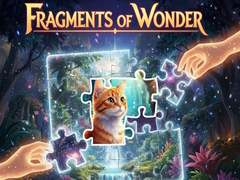 Joc Fragments of Wonder