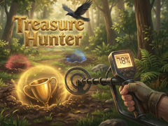 Joc Treasure Hunter
