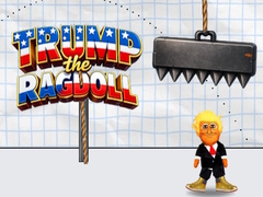Joc Trump the Ragdoll