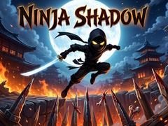 Joc Ninja Shadow