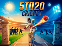Joc 5TO20 Cricket