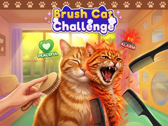 Joc Brush Cat Challenge 