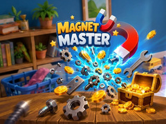 Joc Magnet Master