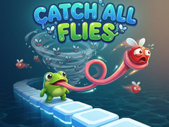 Joc Catch All Flies