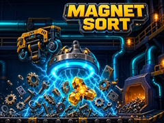 Joc Magnet Sort