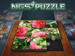 Joc NGS Puzzle