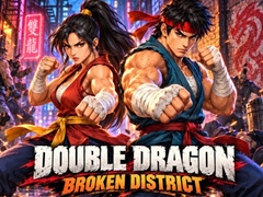 Joc Double Dragon Broken District