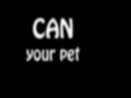 Joc Can Your Pet