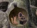 Joc Forest sounds