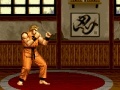 Joc Art of Fighting