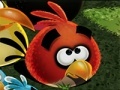 Joc Angry Birds Save
