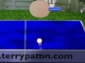 Joc Ping Pong