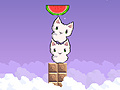 Joc Cat cat watermelon