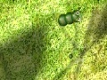 Joc Caterpillar