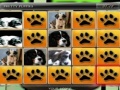 Joc Matching Puppies