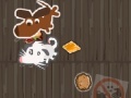 Joc Kibble Katchers