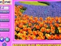 Joc Beauty Flowers Find the Alphabets