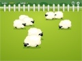 Joc Count the Sheep