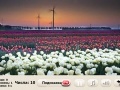 Joc Windflowers Find Numbers