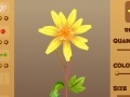 Joc Magic Flower