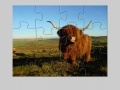 Joc Highland Cow Jigsaw