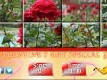 Joc Puzzle Craze - Rose Garden