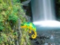 Joc Colorful Chameleon Sniper