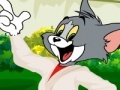 Joc Tom and Jerry dress up