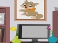 Joc Casual room